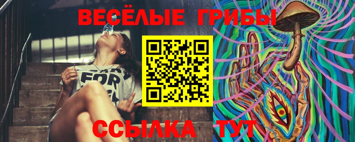 Сарапул  Псилоцибиновые грибы MAGIC MUSHROOMS  Вход с VPN 